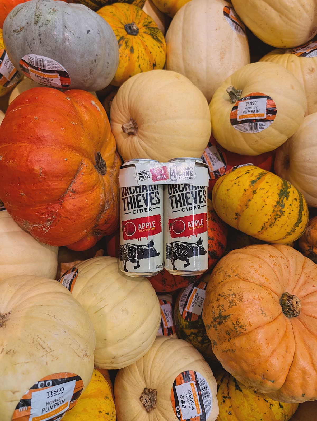 Orchard Thieves cans nested in a pile of pumpkins